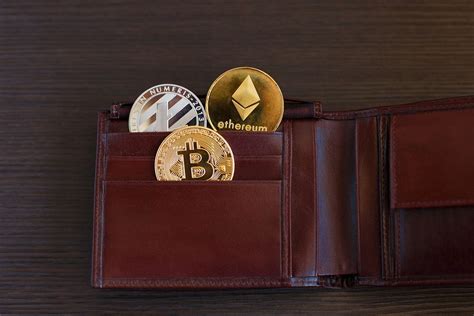 wallets that offer multiple cryptocurrencies